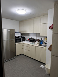 Fortune Park (D19), Condominium #595879311